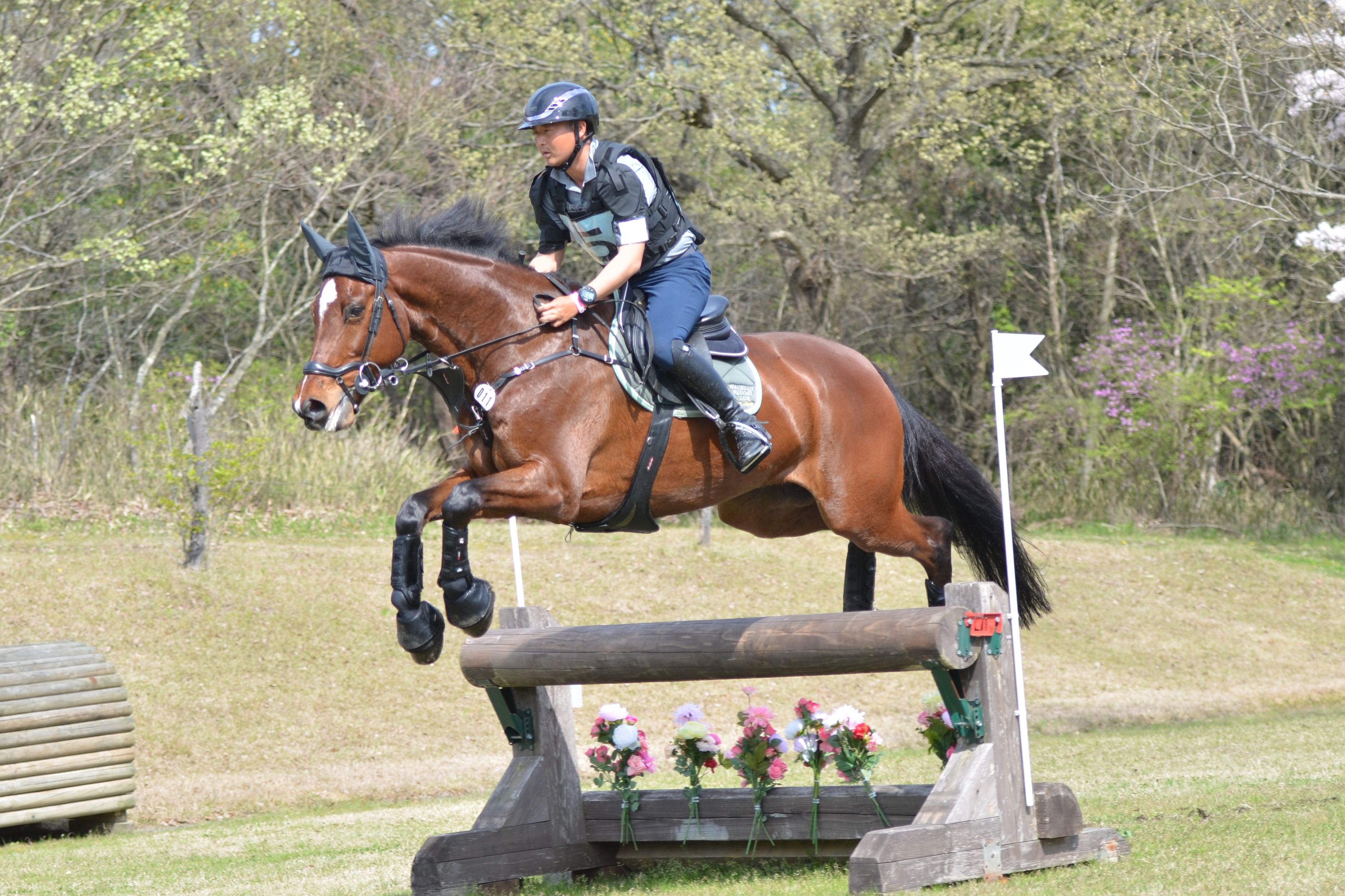 馬術　総合鞍 Yahoo!オークション -「総合鞍」の落札相場・落札価格
